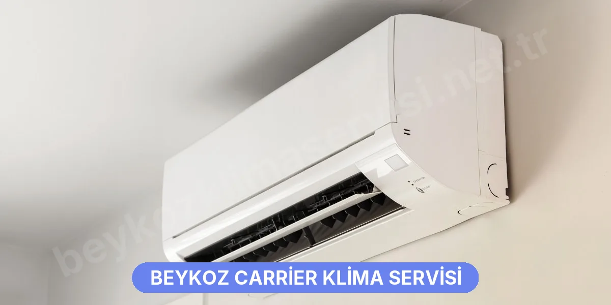 Beykoz Carrier Klima Servisi