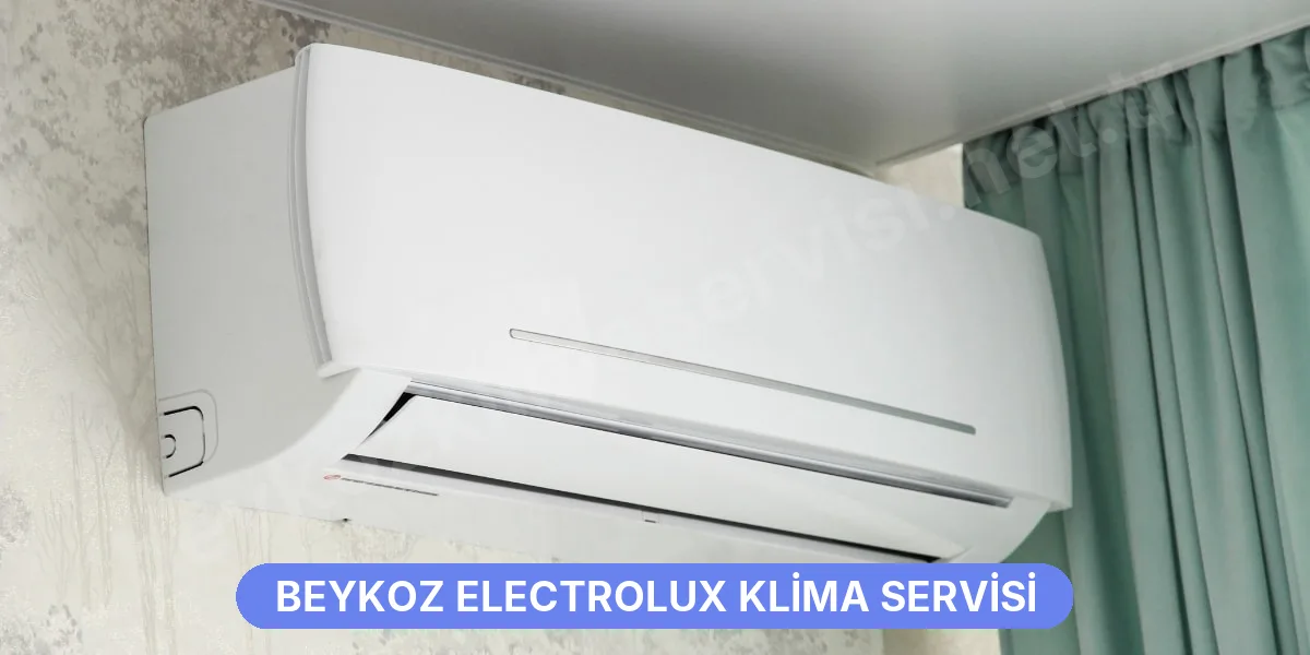 Beykoz Electrolux Klima Servisi